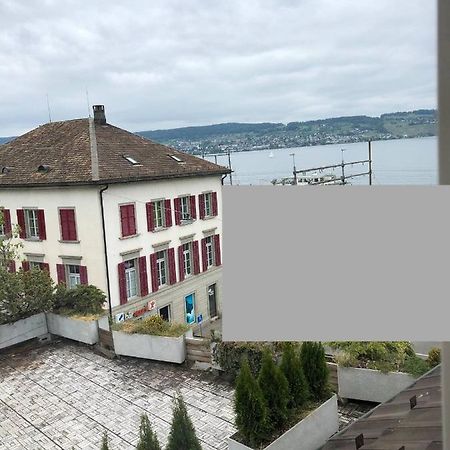 Wadenswil 3 Zimmer Wohnung Genau Beim Zurichsee المظهر الخارجي الصورة